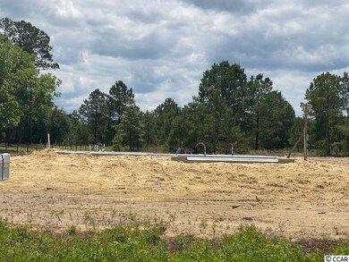 4988 Adrian Hwy unit Tupelo III, Conway, SC 29526 - photo 2