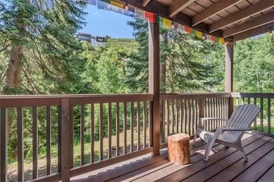 2617 Burgess Creek Rd unit A102, Steamboat Springs, CO 80487 - photo 5