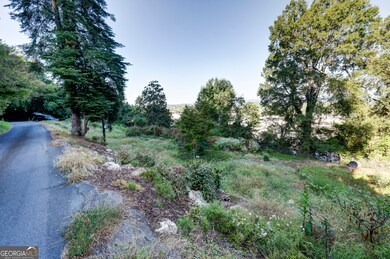 110 Boston Rd, Calhoun, GA 30701 - photo 6