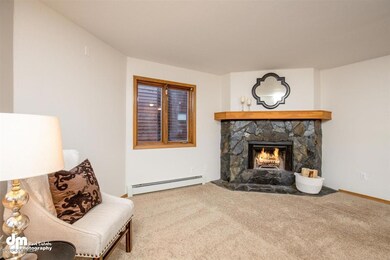 Wood Fireplace
