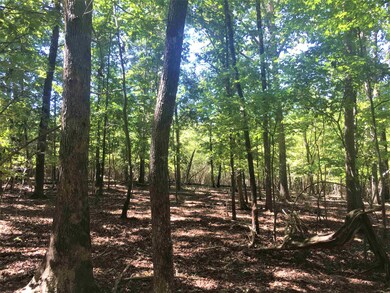 000 W Third St, Siler City, NC 27344 - photo 5