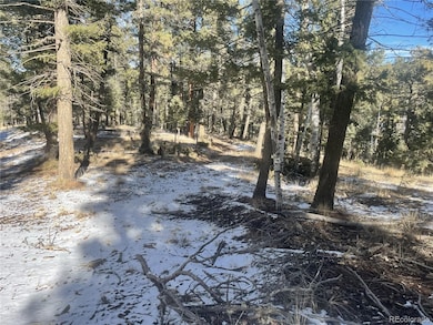 1873 N Mountain Estates Rd unit 55054116, Florissant, CO 80816 - photo 4