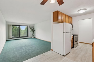 3399 Kent St unit 211, Saint Paul, MN 55126 - photo 5
