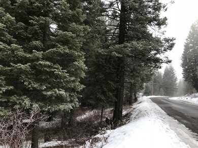 3 Allen Rd unit 69, Cascade, ID 83611 - photo 2