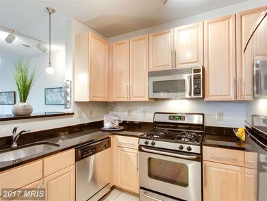 Silverton Condominiums, Silver Spring, MD 20910 - photo 4