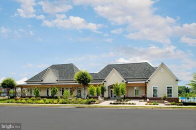 25013 Cambridge Hill Terrace, Chantilly, VA 20152 - photo 7