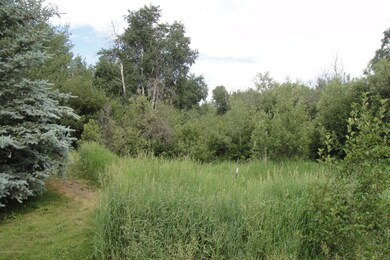 690 Streamside St, Driggs, ID 83422 - photo 6