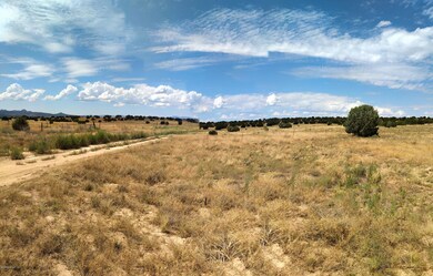 890 W Gina Marie Blvd, Paulden, AZ 86334 - photo 5