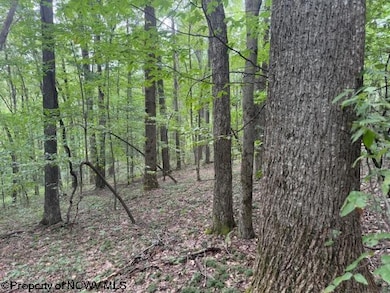 TBD Simpson Rd, Belington, WV 26250 - photo 7