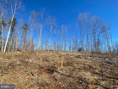 LOT 2 Scotts Mill Rd, Raccoon Ford, VA 22701 - photo 7