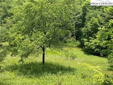 TBD Campbell Glen (5 03acres) Ln, Fleetwood, NC 28626 - photo 6