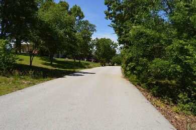Tbd Wildflower Lots 43 44, Kimberling City, MO 65686 - photo 5