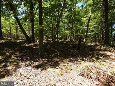 LOT 10 Farside Ln, Berkeley Springs, WV 25411 - photo 5