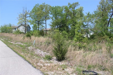 0 Trace Dr unit 22021174, Saint Robert, MO 65584 - photo 4