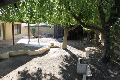 023-352155 - Backyard 2