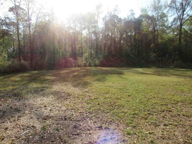 163 Leslie Cir, Crawfordville, FL 32327 - photo 7