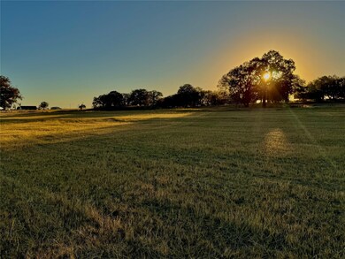14114 Howard Lake Ct, Lipan, TX 76462 - photo 7