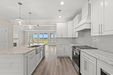 Kitchen featuring a sink, custom exhaust hood, appliances with stainless steel finishes, crown molding, and a ceiling fan