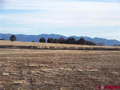 0 Road N 8 Loop Lot unit 13 705598, Cortez, CO 81321 - photo 5