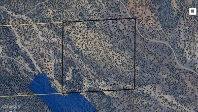 135 N Pineveta Rd, Ash Fork, AZ 86320 - photo 5