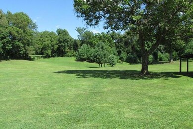 Back Yard area
