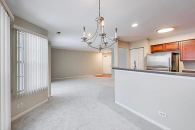 249 W Lynn Dr unit 6, Palatine, IL 60067 - photo 4