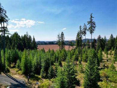 TBD Parcel 1 Peaceful Valley Rd, Kamiah, ID 83536 - photo 5