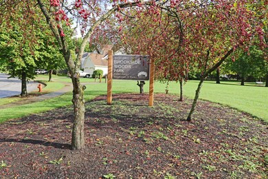 IMG_3138_edited-1