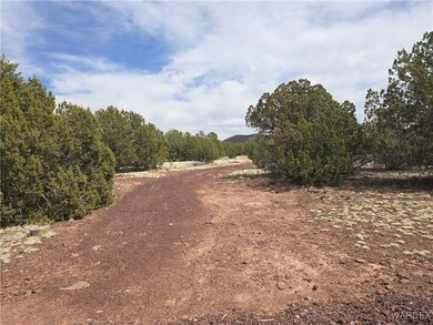 View of local wilderness