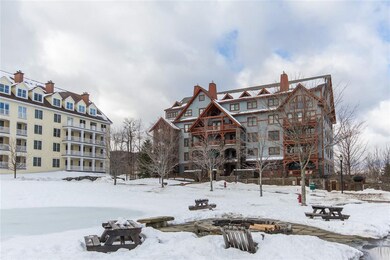 759 Stratton Mountain Access Rd unit 134, Stratton, VT 05340 - photo 3