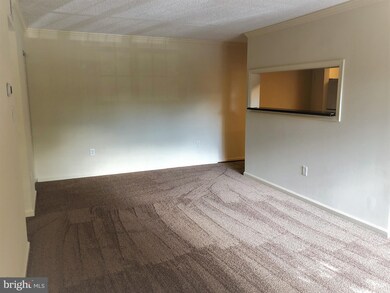 15552 Horseshoe Ln unit 552, Woodbridge, VA 22191 - photo 4