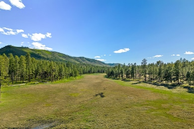 20239 Red Hill Rd, Clifton, AZ 85533 - photo 7