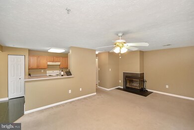 691 Winding Stream Way unit 203, Odenton, MD 21113 - photo 6
