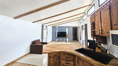 47 Comanche Peak Rd, South Fork, CO 81154 - photo 6