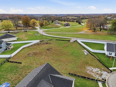 4_photo nov 11 2025, 11 15 17 am