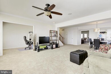 22783 Settlers Trail Terrace, Ashburn, VA 20148 - photo 5