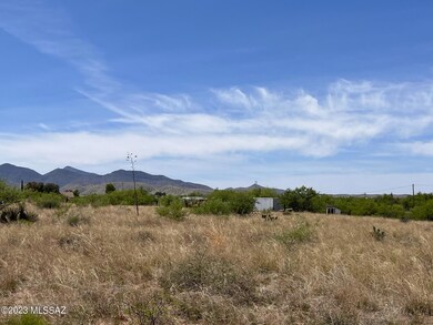 IMG_7375
