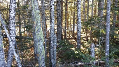 20181205_125132_resized