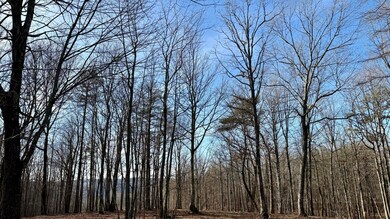 IMG_0259