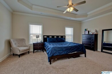 Owners Suite is spacious with trey ceilings and a nice glamour bath.