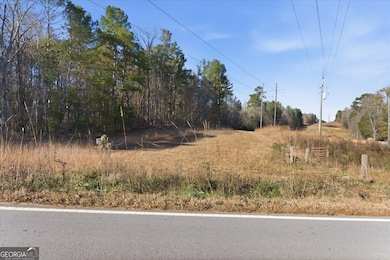 469 Lee Williams Rd, Carrollton, GA 30117 - photo 3