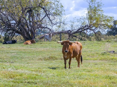 479 Vzcr 1504, van, TX 75790 - photo 5