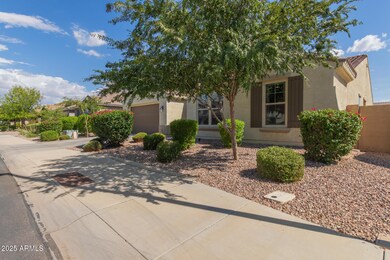 3681 E Narrowleaf Dr, Gilbert, AZ 85298 - photo 3
