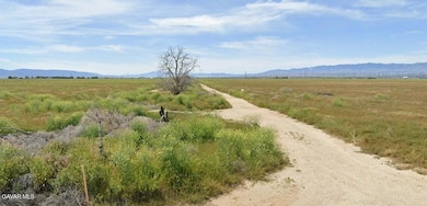 9700 Kingbird Ave, Rosamond, CA 93560 - photo 2