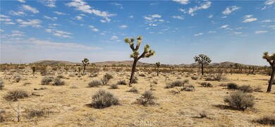 60220 Drexel Rd, Joshua Tree, CA 92252 - photo 2