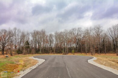 0 Diamond Valley Estates unit 10111715, Jonesboro, AR 72404 - photo 2