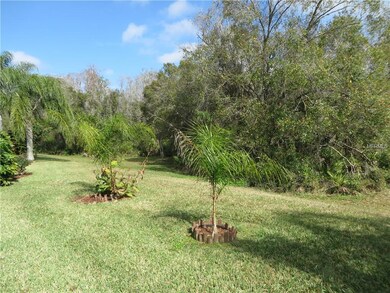 Conservation Area at Rear