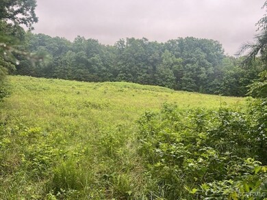View of woods