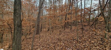 00 Gum Ct, Westminster, SC 29693 - photo 6