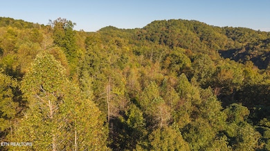 0 Black Valley Rd unit 1322140, Sneedville, TN 37869 - photo 3